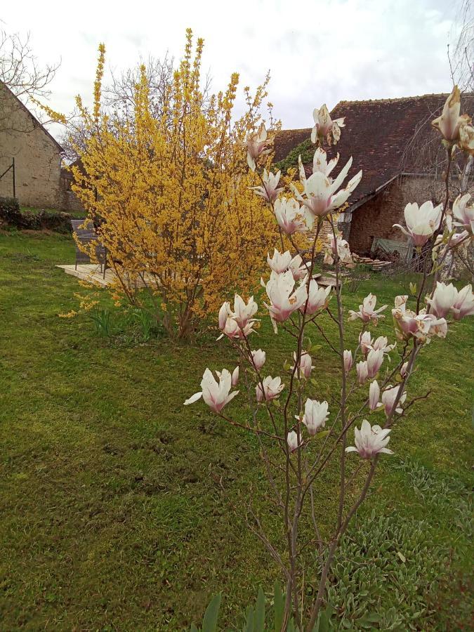 Готель L'Instant... Marolles-sous-Lignieres Екстер'єр фото